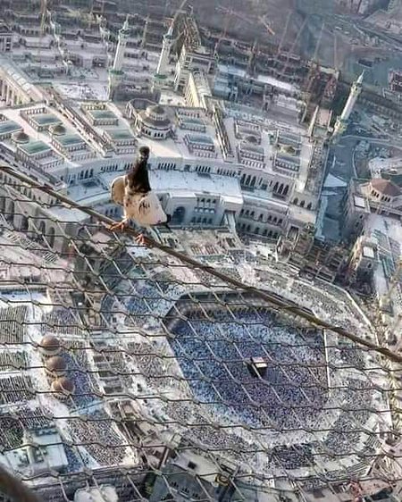 Beautiful Structures image