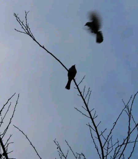 Beautiful Nature image