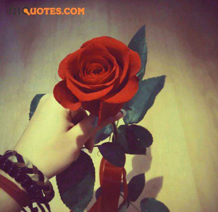 Beautiful Nature image