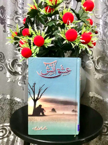 Romantic Novels image