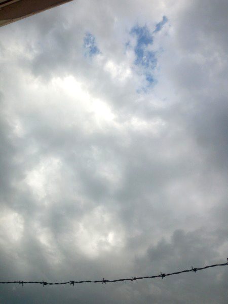 Beautiful Nature image