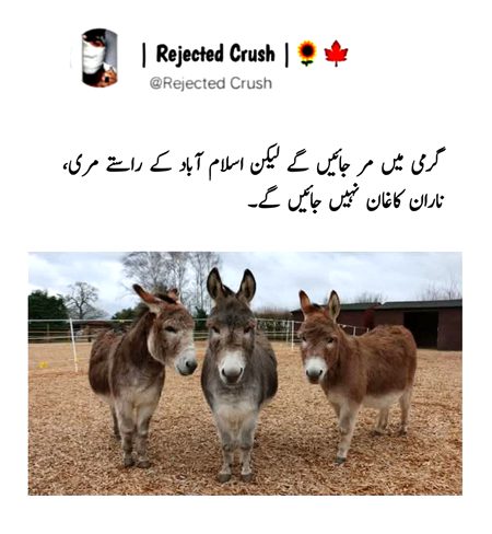 Memes & Satire image