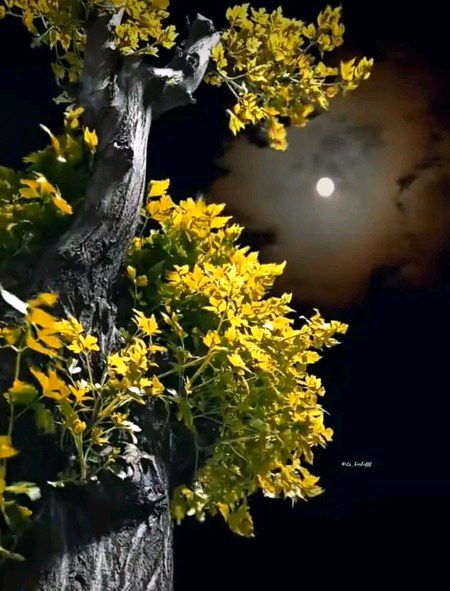 Beautiful Nature image