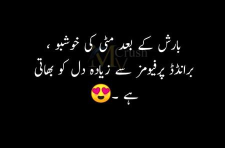 ❤💚❤💚❤💚❤💚