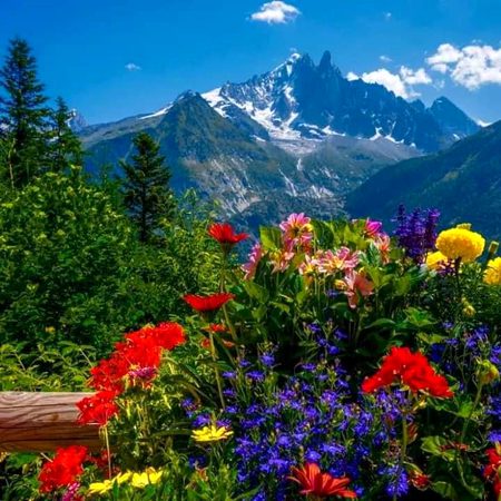 Beautiful Nature image