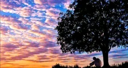 Beautiful Nature image