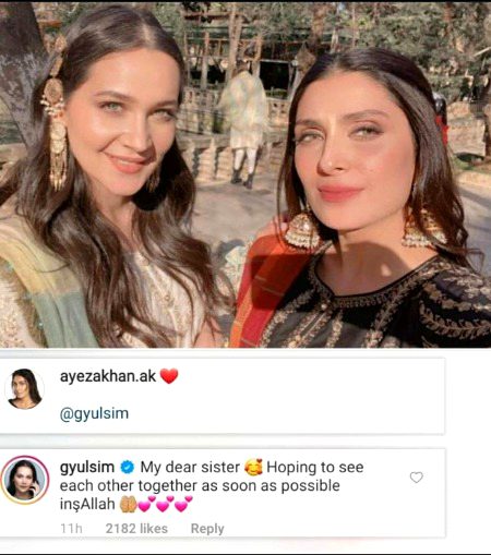 Turkish Celebs image