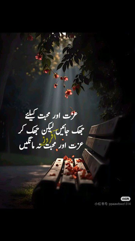 Motivational Quotes image