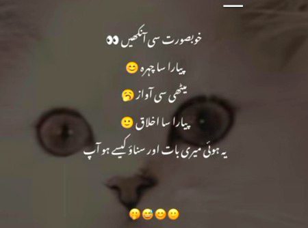 Attitude Poetry image