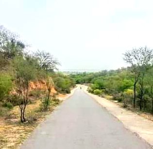 Beautiful Nature image