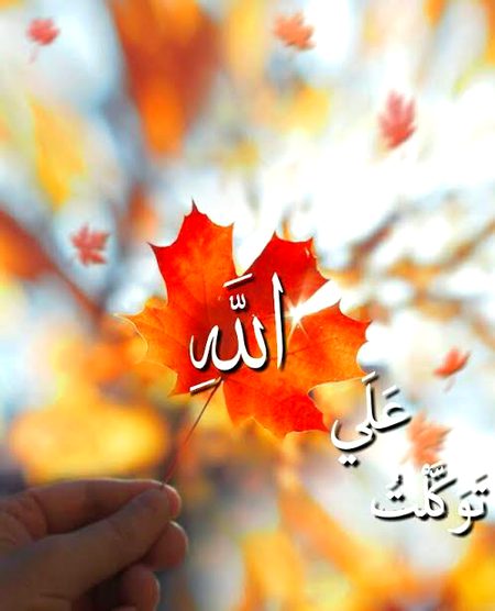 اِس کائنات میں صرف 'ربّ کی دکان ایسی ہـے!!
جہاں کچھـ لینـے کیلیئے جیب میں نیکی کے سِکے نا بھی ہوں تو
چند آنسو ہاتھوں پر رکھـ کر پیش کردیں دٌکان کا مالک آپکی سوچ سے بھی زیادہ عطا کرے گا ✔️