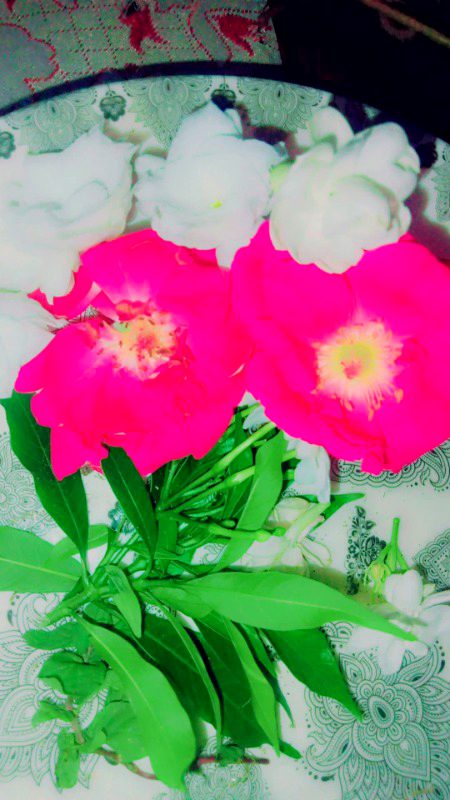 Beautiful Nature image