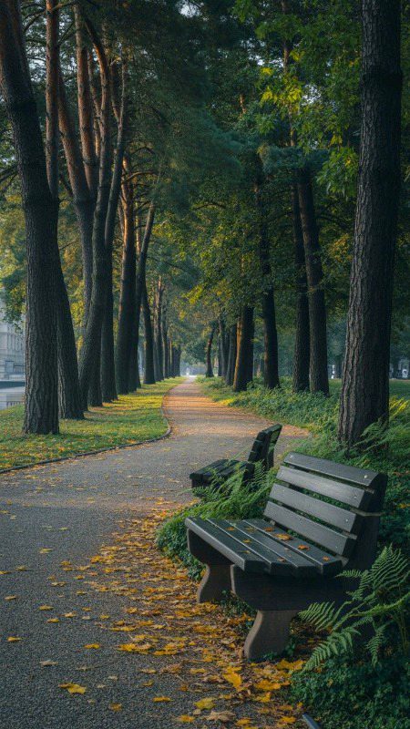 Beautiful Nature image