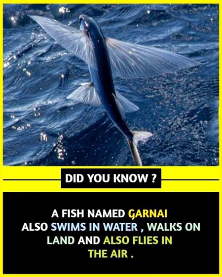 Interesting Posts image