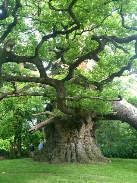 Beautiful Nature image