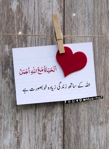 Islamic Quotes image