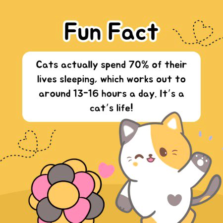 Interesting Posts image