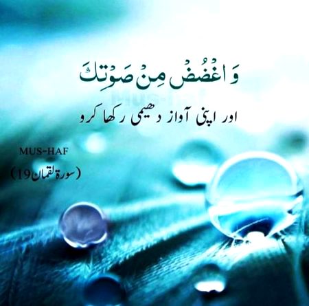 Islamic Quotes image