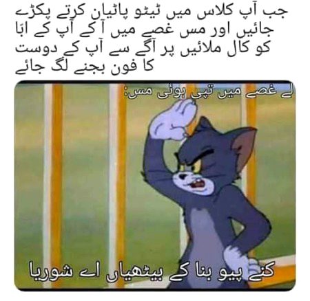 Memes and Satire
