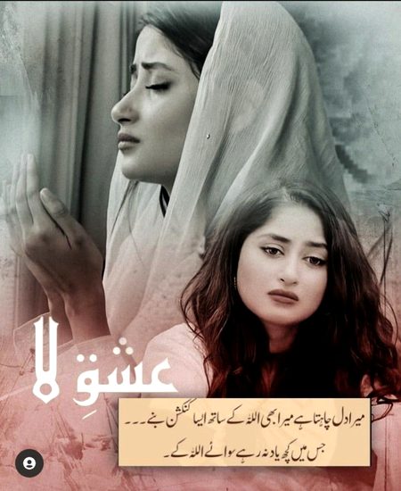 Romantic Novels image