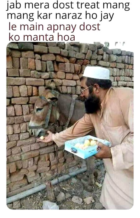 Memes & Satire image