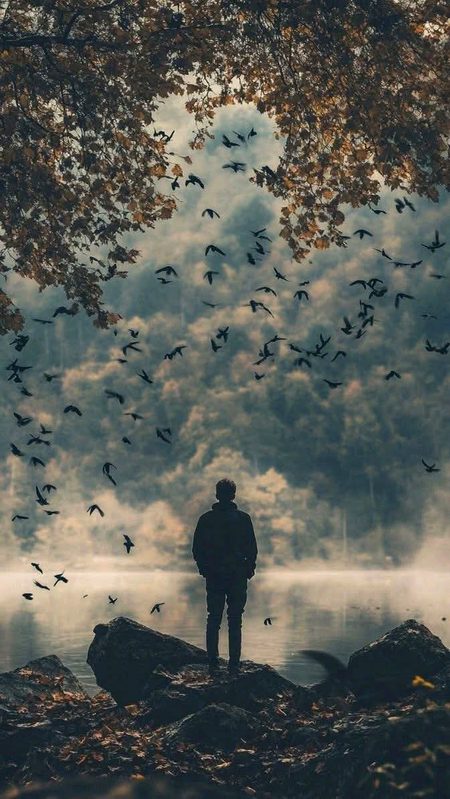 Beautiful Nature image