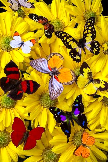 Beautiful Nature image