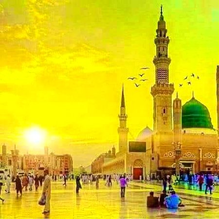 Beautiful Structures image