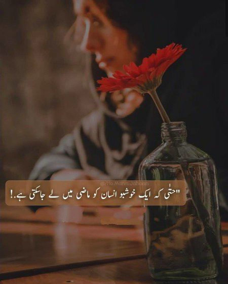 Romantic Novels image