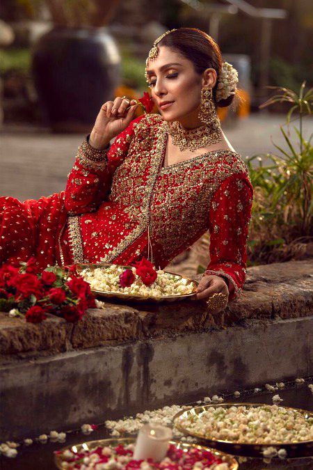 Pakistani Celebs image
