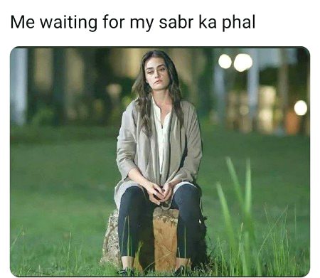 Memes & Satire image