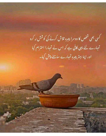 Exactly . . 🥀🥀
