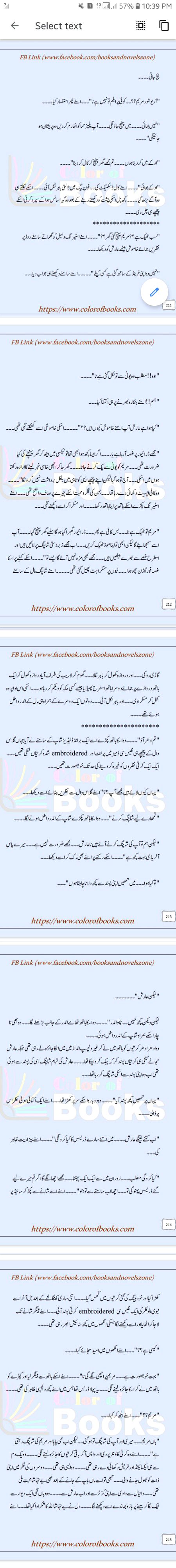 Romantic Novels image