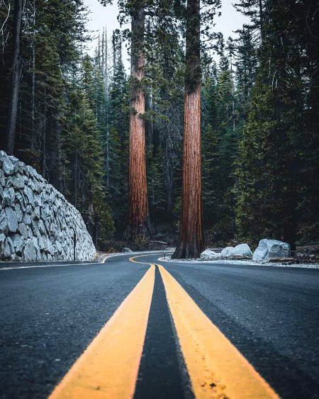 Yosemite National Park, California