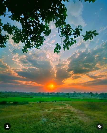 Beautiful Nature image