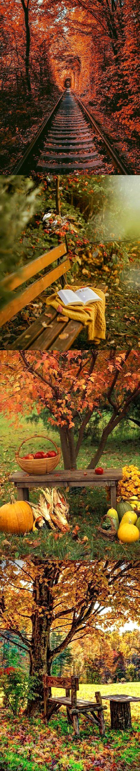 Beautiful Nature image