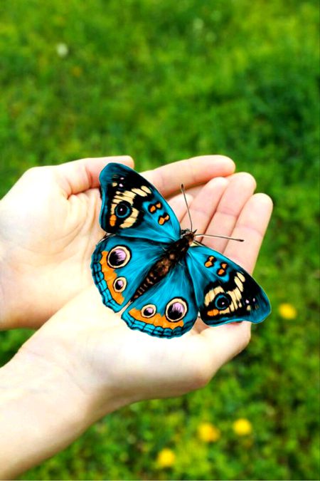 Beautiful Nature image