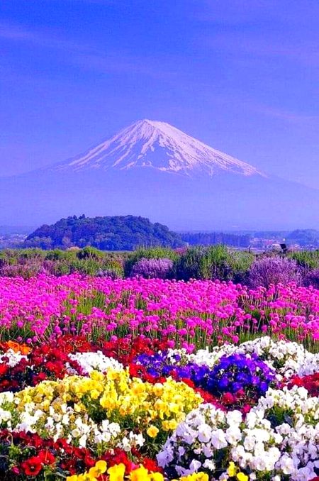 Beautiful Nature image