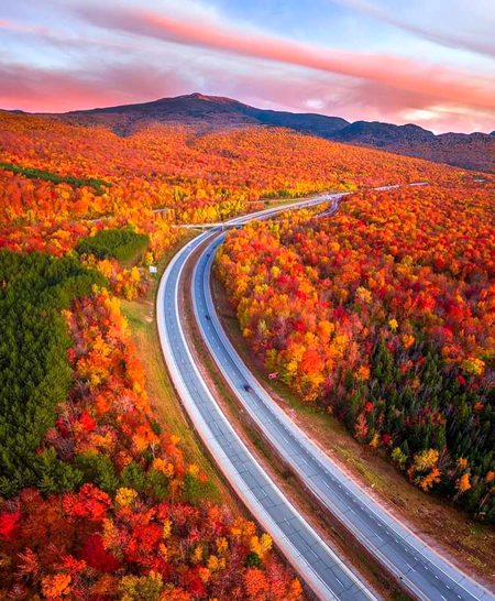 Beautiful Nature image