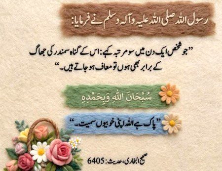 𝗦𝗼𝗳𝘁 𝗥𝗲𝗺𝗶𝗻𝗱𝗲𝗿💐🌻💐