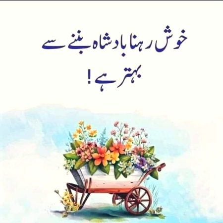 Koi ctgry he laga de😐😐