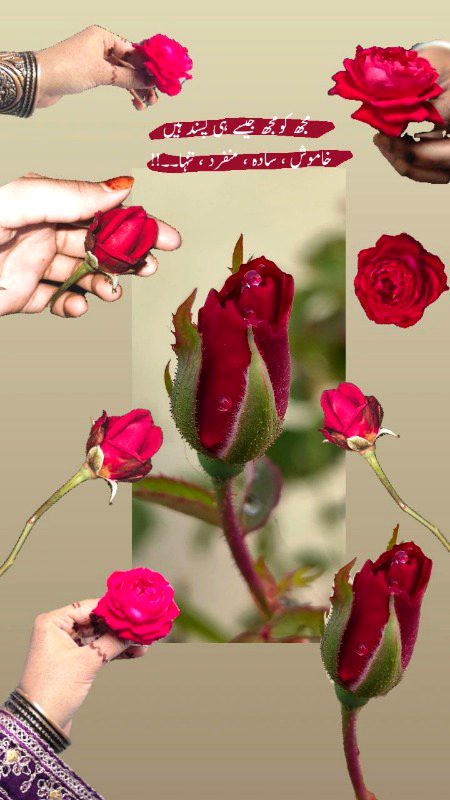 Attitude Quotes image