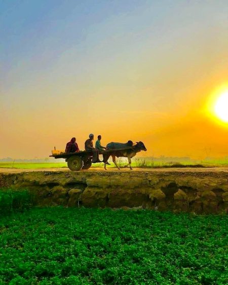 Beautiful Nature image