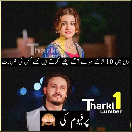 Memes & Satire image