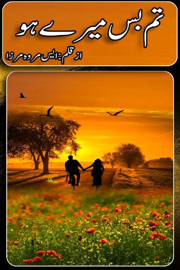 Romantic Novels image