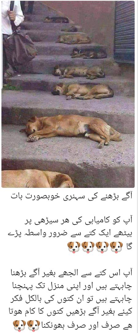 زمانے میں آئے ہو تو
جینے کا ہنر بھی رکھنا
دشمنوں سے کوئی خطرہ نہیں
بس اپنوں پہ نظر رکھنا
😎💪