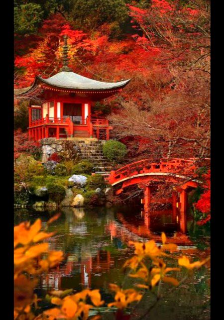 Beautiful Nature image