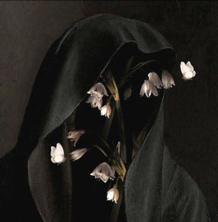 زندگی ہر اک شے کا اشارہ دیتی ہے ہم انسان ہی غفلت کا شکار رہتے ہیں 🍁