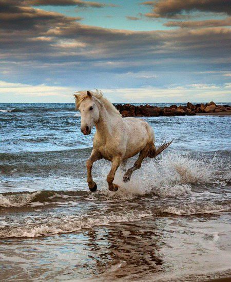 Beautiful Nature image