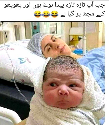 Memes & Satire image